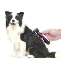 Amazon Hot Selling Wholesale Pet Grooming Brush Comb Removing Shedding Dog and Cat Hair Two different color